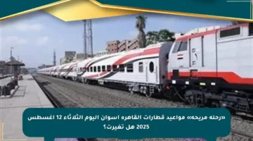 «رحلة مريحة» مواعيد قطارات القاهرة أسوان اليوم الثلاثاء 12 أغسطس 2025 هل تغيرت؟